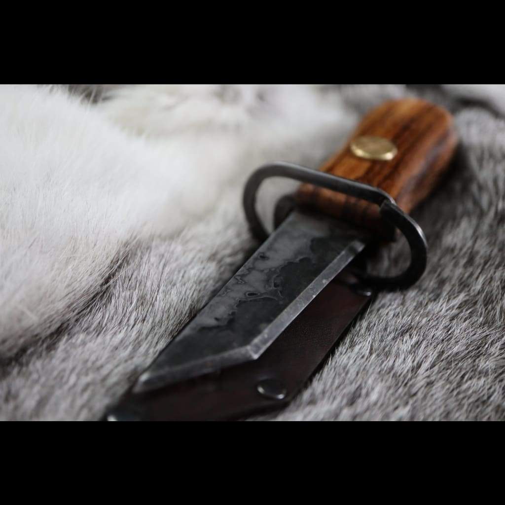 Couteau à huîtres - Huitres