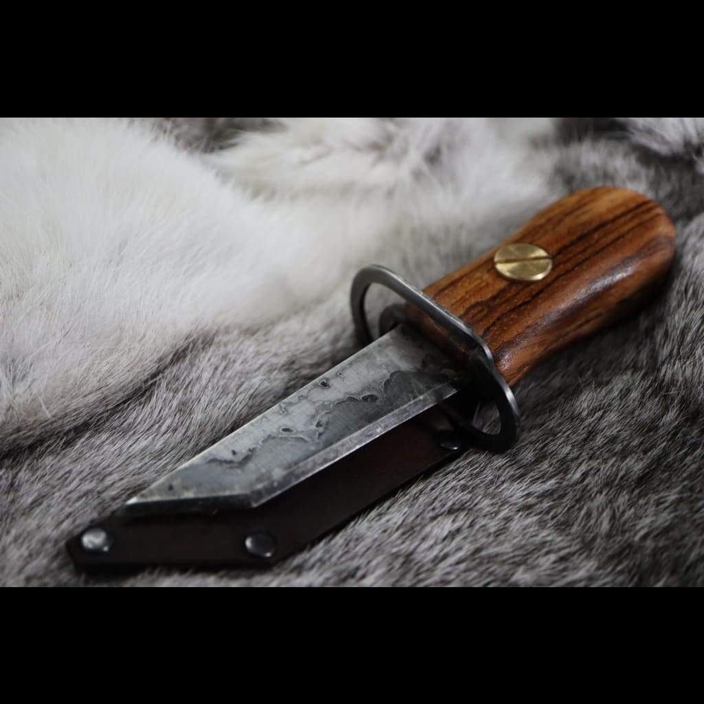 Couteau à huîtres - Huitres